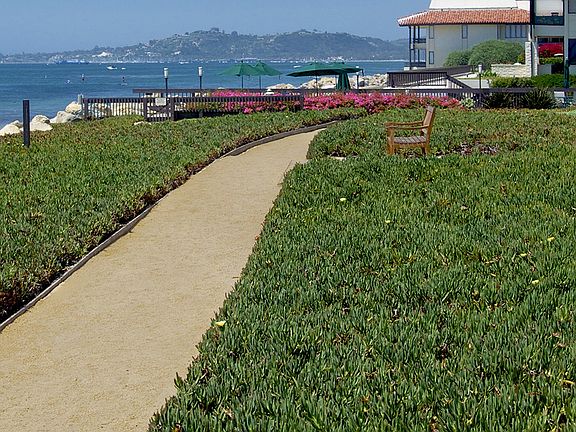 The grounds