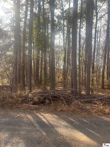 0 Twin Oaks Dr, West Monroe, LA, 71291