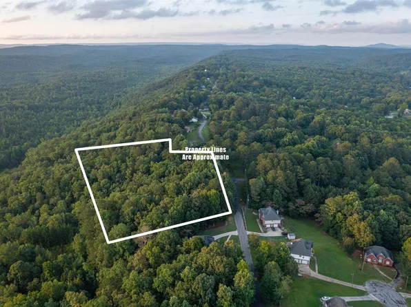 0 Levine Rd #X, Odenville, AL 35120