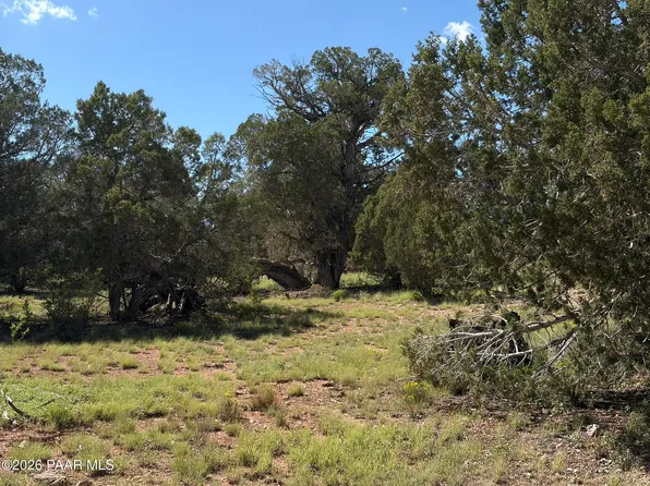 57650 Hora Ln, Seligman, AZ 86337