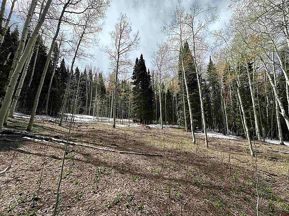 4th image of Tbd Forest Service Road 814