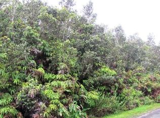 11-3777 9th St #838, Volcano, HI 96785