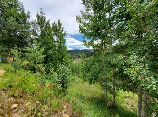 103 Brooks Canyon Rd, Fairview, UT 84629