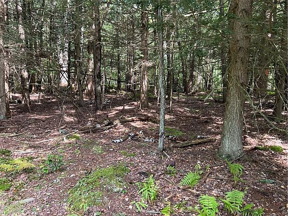 3rd image of 000 Cooper Drive Road