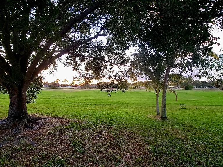 Backyard, nightly sunsets