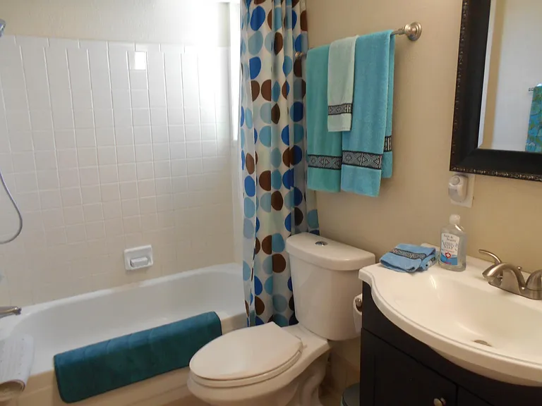 Hall Bath with tub/shower combo
