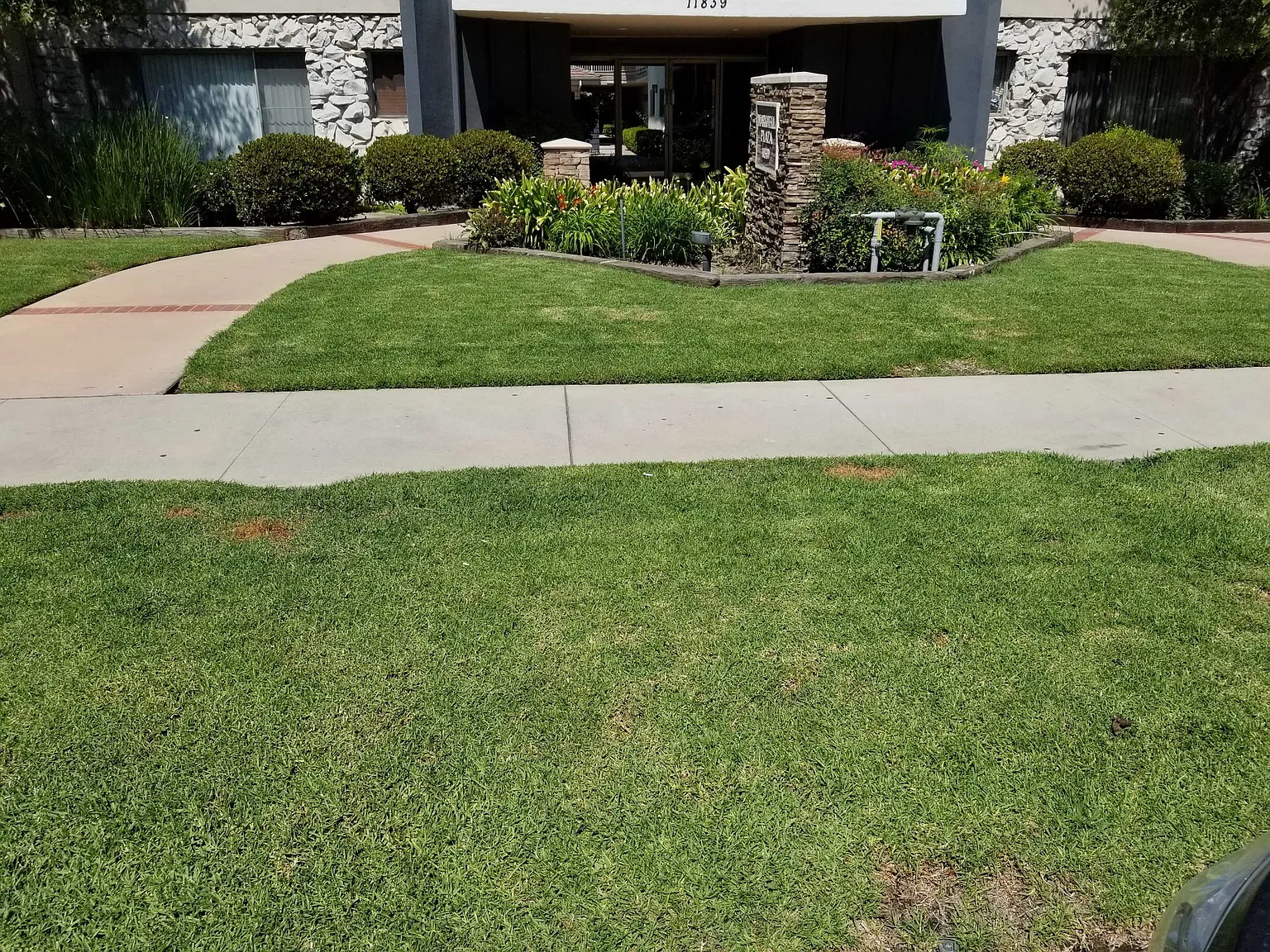 1 bed, $2,250 — Photo 2