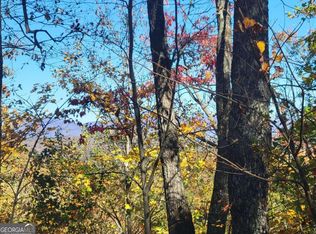 Old Burnt Mountain, Ellijay, GA 30540