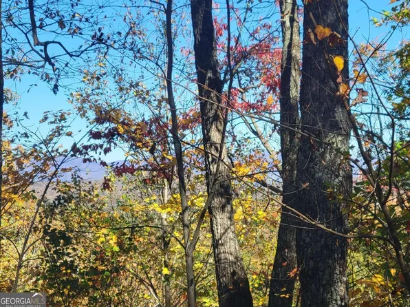 Old Burnt Mountain, Ellijay, GA 30540