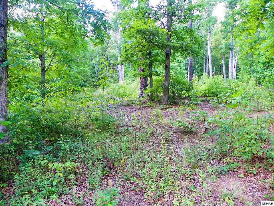 1st image of 12 Bogle Spring Loop #12