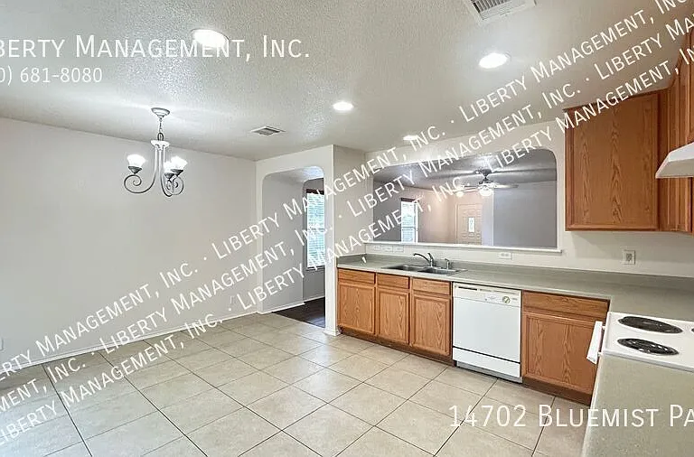 14702 Bluemist Pass — Photo 8