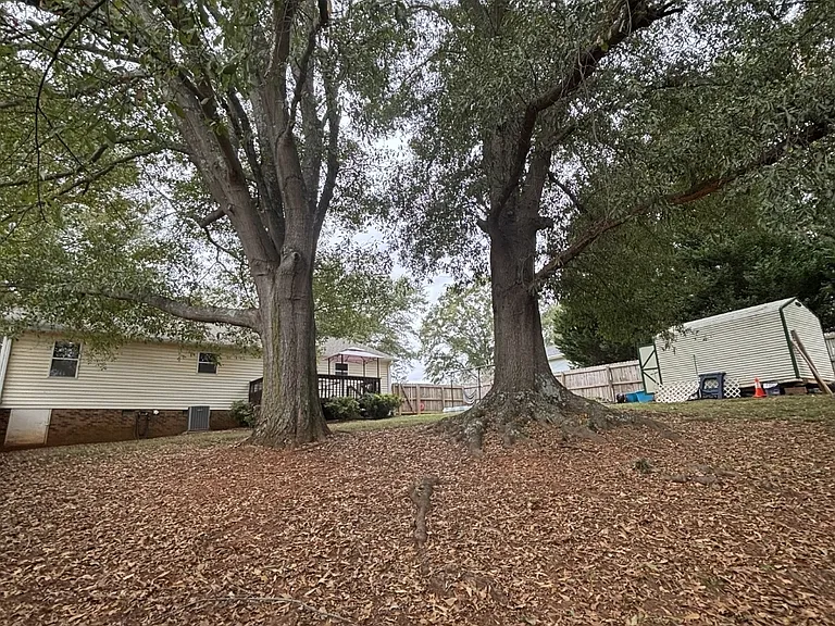 113 Moss Ln — Photo 12