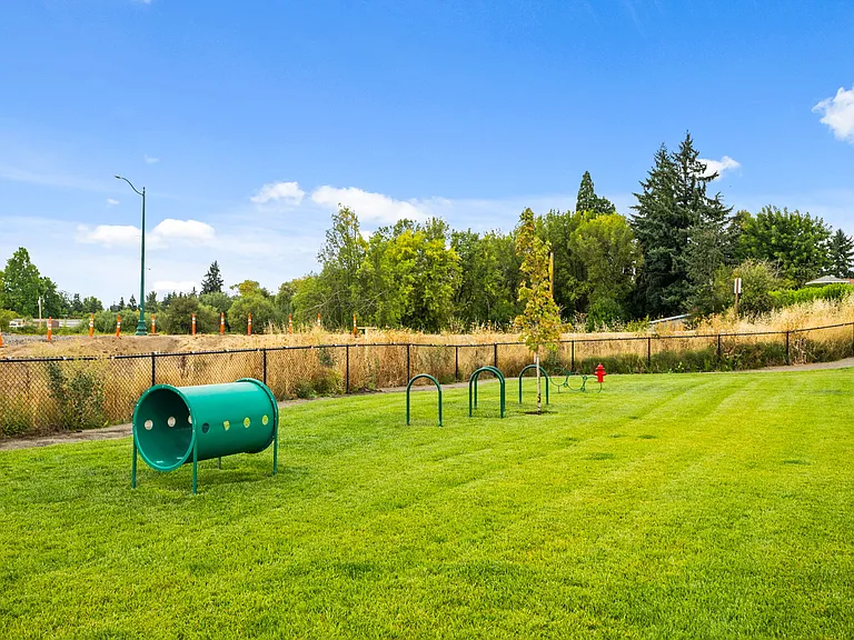 Verda Crossing | Dog Park