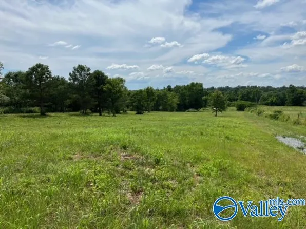 2055 Hopewell Rd, Guntersville, AL 35976