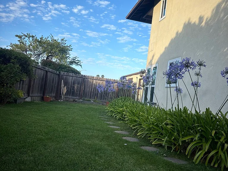 Yard