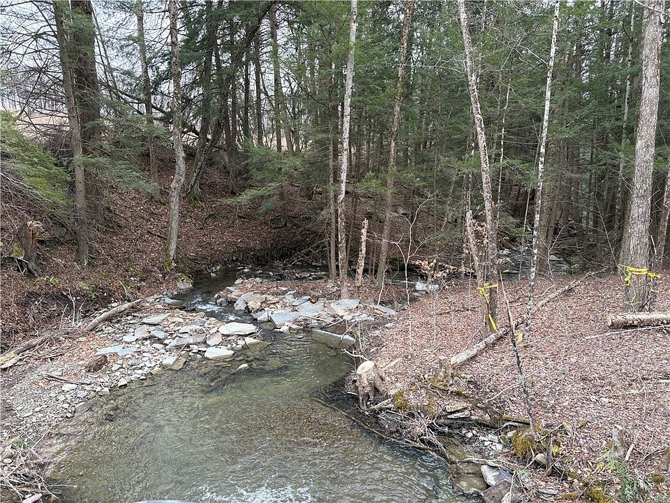 1st image of County Road 46 Lower Ravine Rd #10