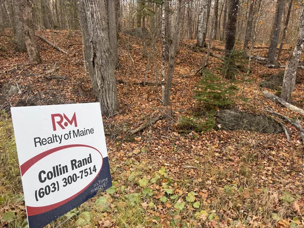 Lot 7 Curtis Farm Road, Lincoln, ME 04457