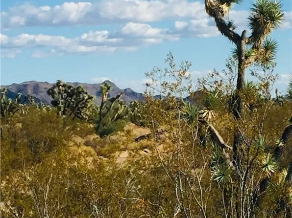 2363 S Goldmine Rd., Yucca, AZ 86438