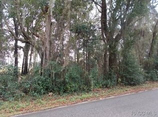 6650 W Riverbend Rd, Dunnellon, FL 34433