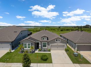 9539 Ibis Grove Blvd, Wesley Chapel, FL 33545