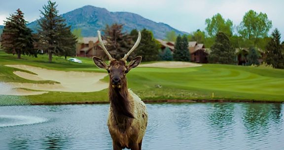 Red Rocks Golf Course