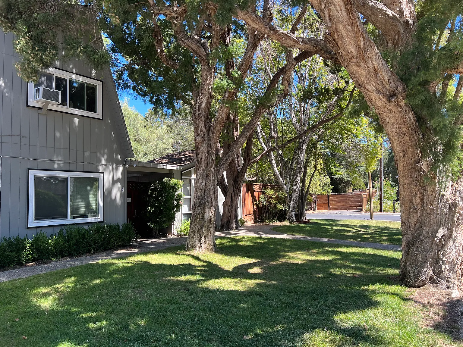Wheeler Ave, Los Gatos — Photo 4