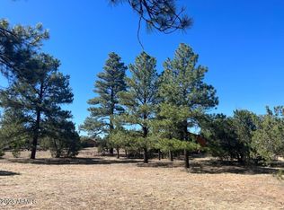 2975 Arrowhead Dr #223, Overgaard, AZ 85933