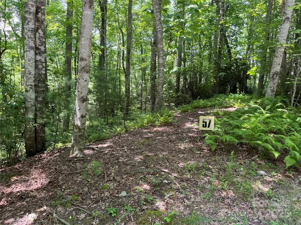 57 Big Branch Rd, Brevard, NC 28712