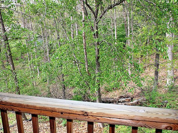 View from Deck