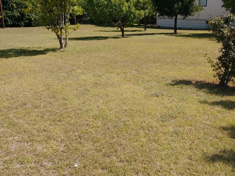 Front yard with peach trees
