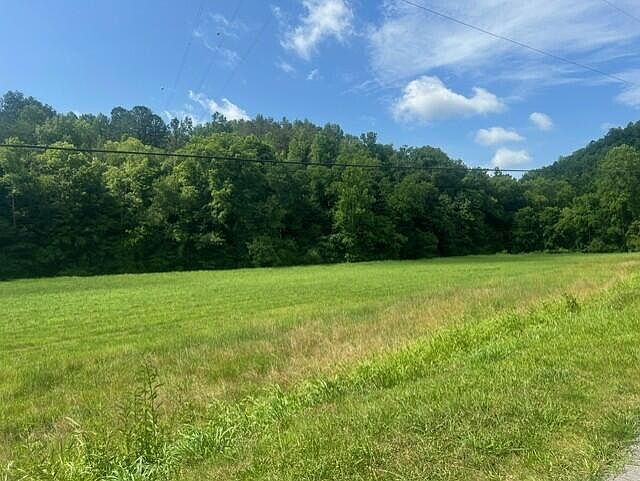 61st image of 10625 Brushy Rd