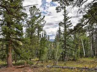 167 Smith And Wesson Rd, Como, CO 80456