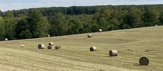 1st image of 697 Austins Rd #4