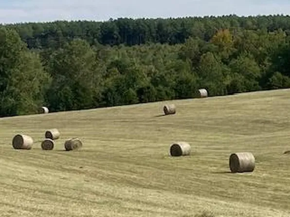 697 Austins Rd #4, Gladstone, VA 24553