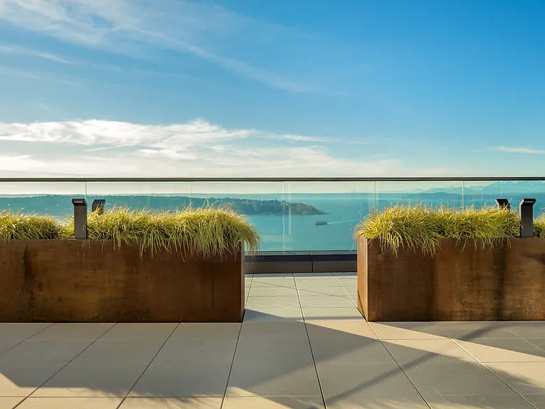 Rooftop Views