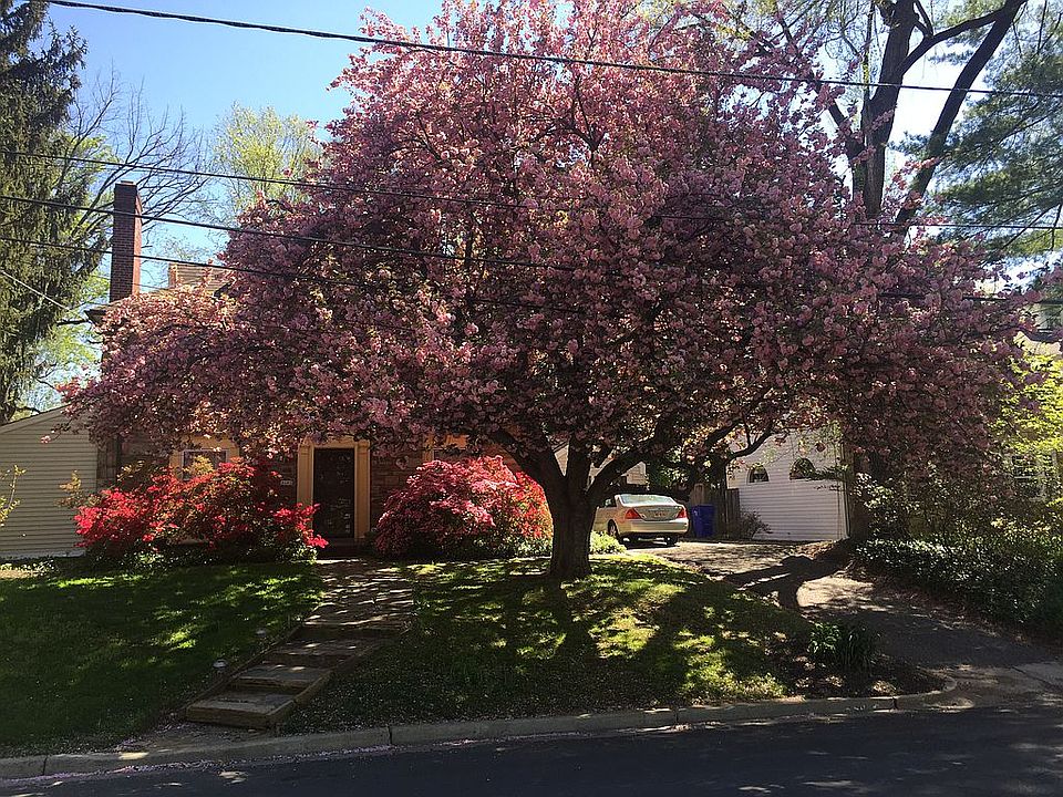 Another view of front yard i