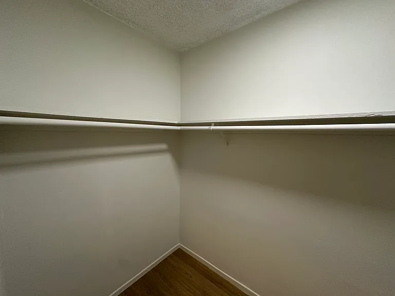 Walk-in closet (hallway)