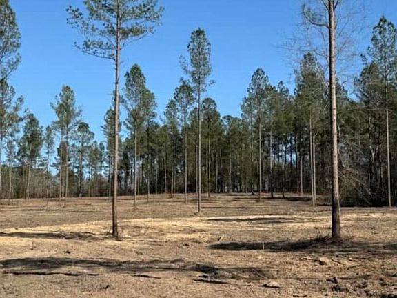 5th image of Wrights Mill Rd