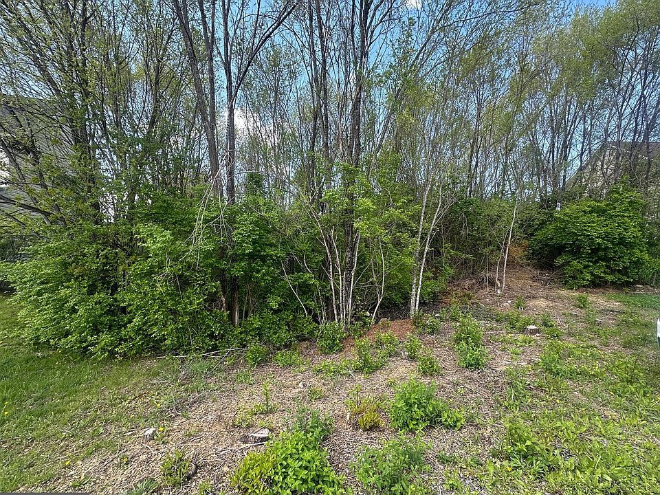 2nd image of 0 Teal North Rd