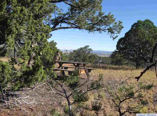 48 Bridger Pass, Datil, NM 87821