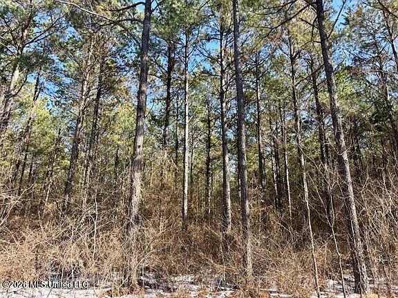 4th image of Cook Wallace Rd