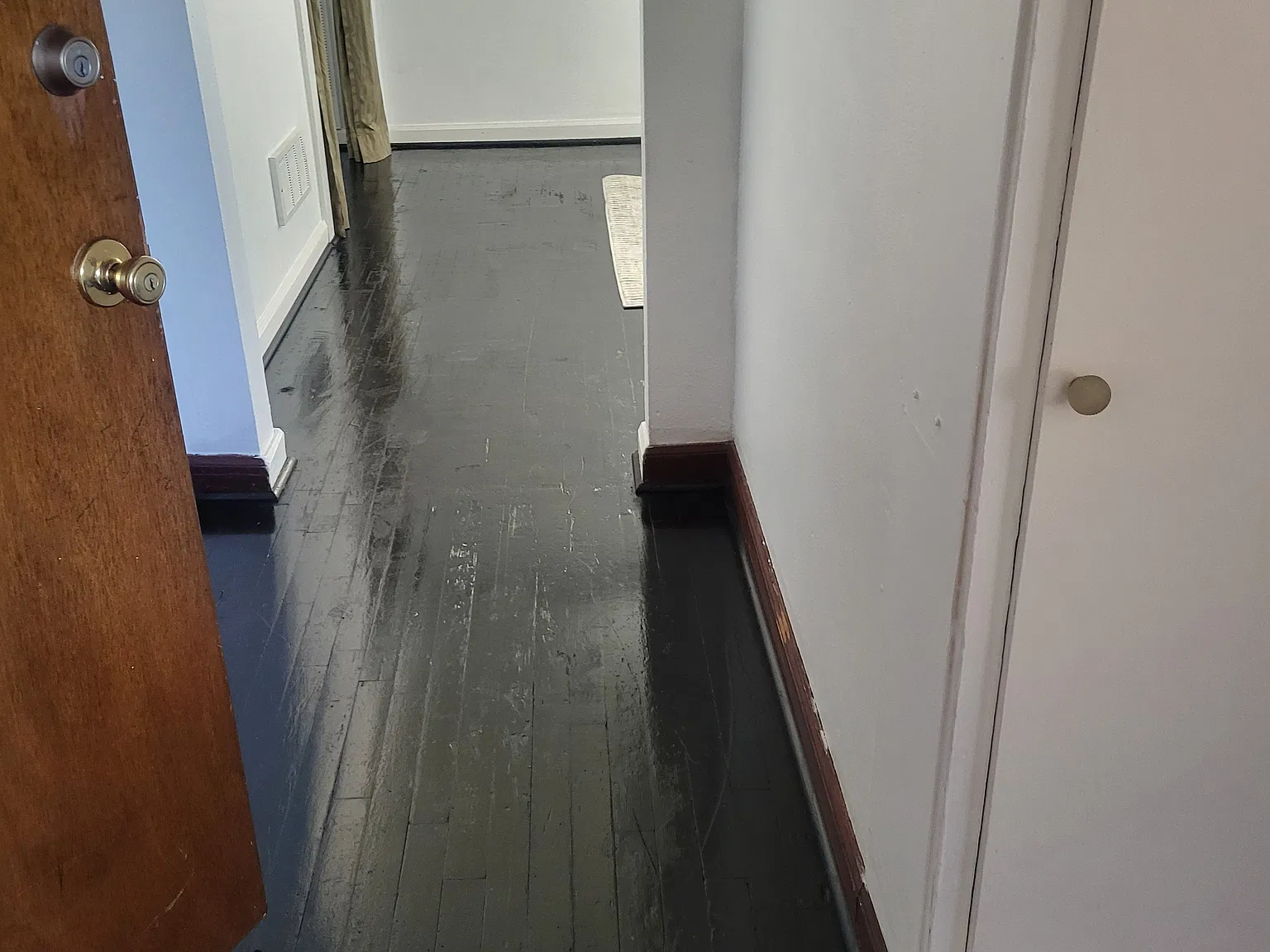 1 bed, 450 sqft, $1,200 — Photo 3