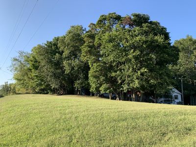 3162 Nobles Way, White House, TN, 37188