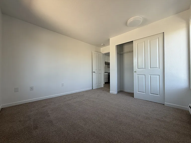 Bedroom 1 Closet