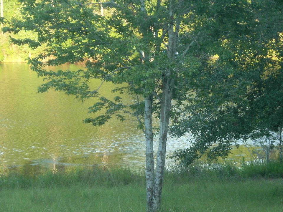 1st image of 0000 Pine Lake Cir