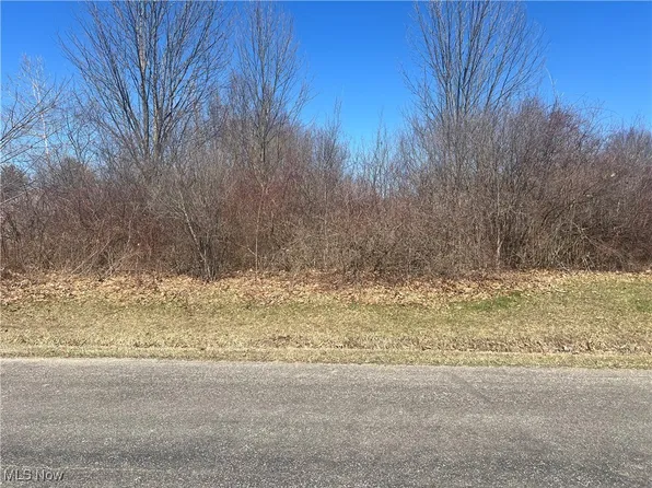 2488 Tupelo Dr, Rock Creek, OH 44084