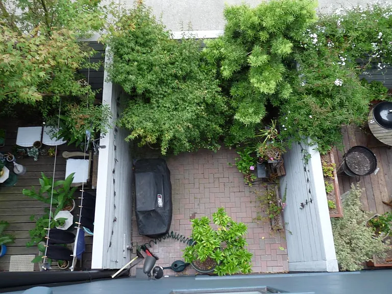 453 Fulton St #A — Photo 11