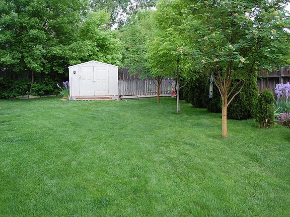 Back yard, storage shed