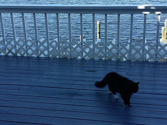 Middle Deck View