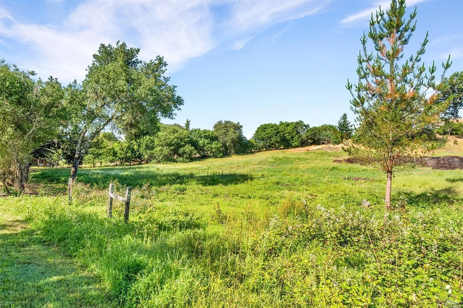 1100 Lytton Springs Road - Photo 4